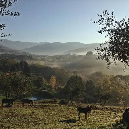 Podere La Piana Casa di campagna *